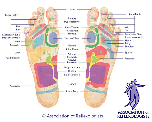 Foot Reflexology. feet map aor